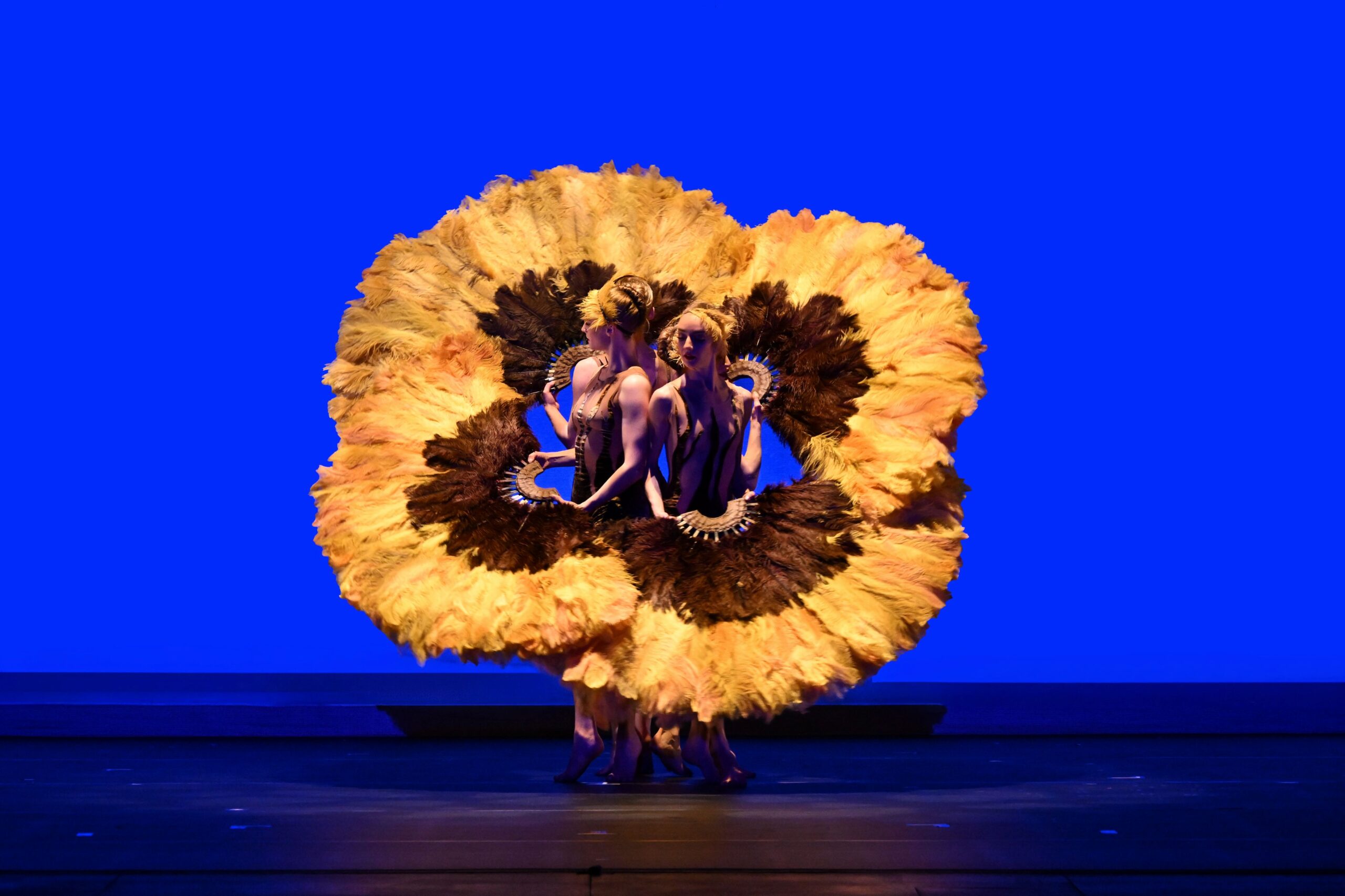 MOMIX: BOTANICA SEASON II