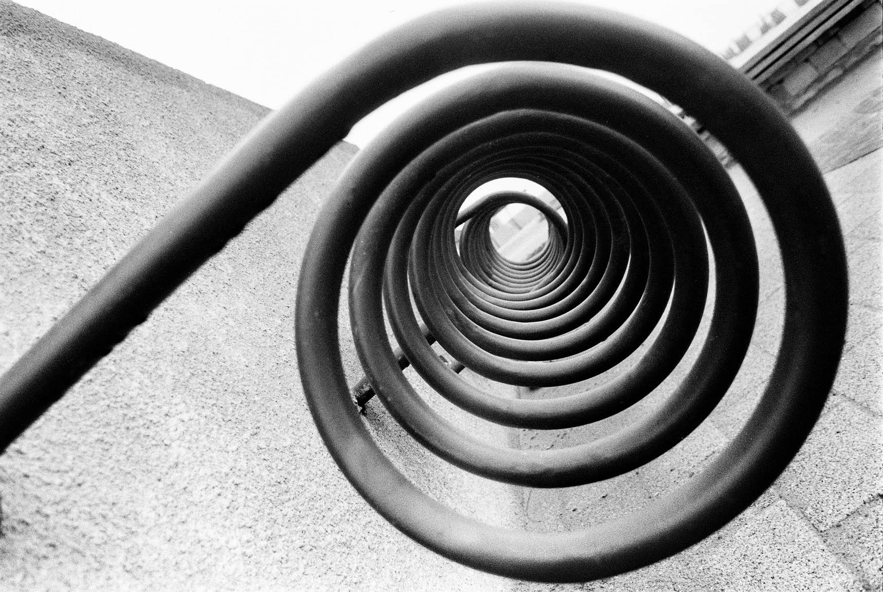Edward Weston. La materia delle forme