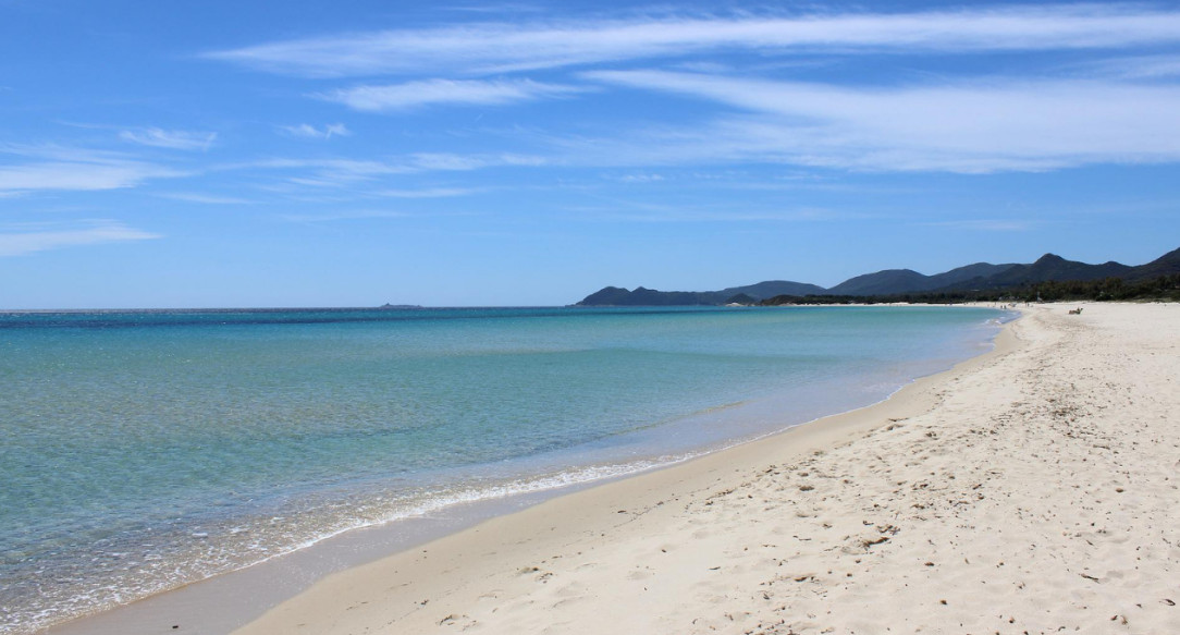 MARIO SCHIFANO - ROMA