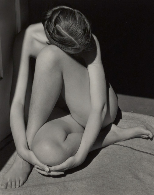 Edward Weston. La materia delle forme